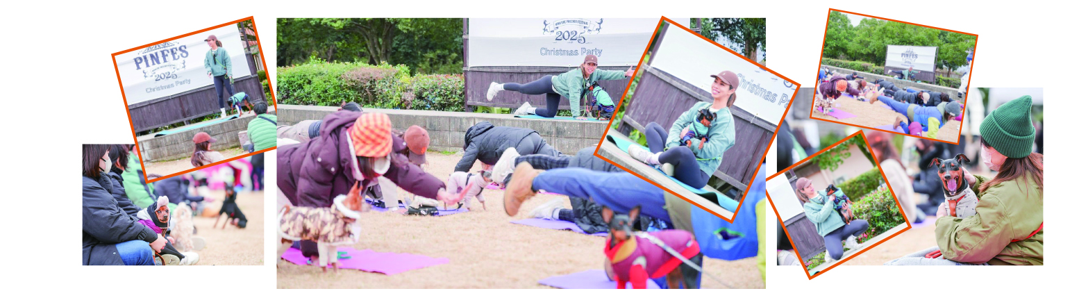 ドッグヨガイベント